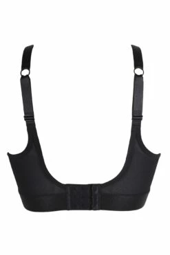 Energy Empress High Neck Padded Non Wired Sports Bra - Black -POUR MOI Sales 240363 20201217095600