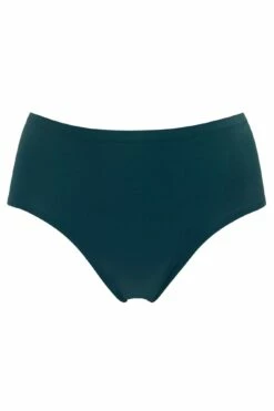 Off Duty Invisible Deep Brief - Forest 10 Off Duty Invisible Deep Brief - Forest -POUR MOI Sales 265020 20211004170700