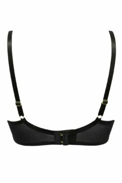 Laced In Gold Padded Set - Black/Gold -POUR MOI Sales 268218 20211105142500