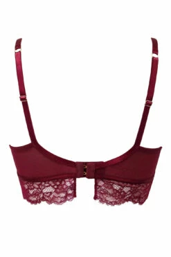 India Padded Demi Set - Rioja -POUR MOI Sales 268319 20211109094200