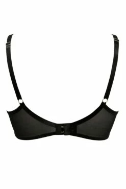 Scandalous Padded Bra - Black -POUR MOI Sales 269063 20211111095600