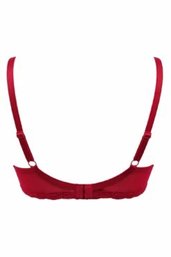 Luxe Linear Lightly Padded Set - Red/Black -POUR MOI Sales 270170 20220419103100