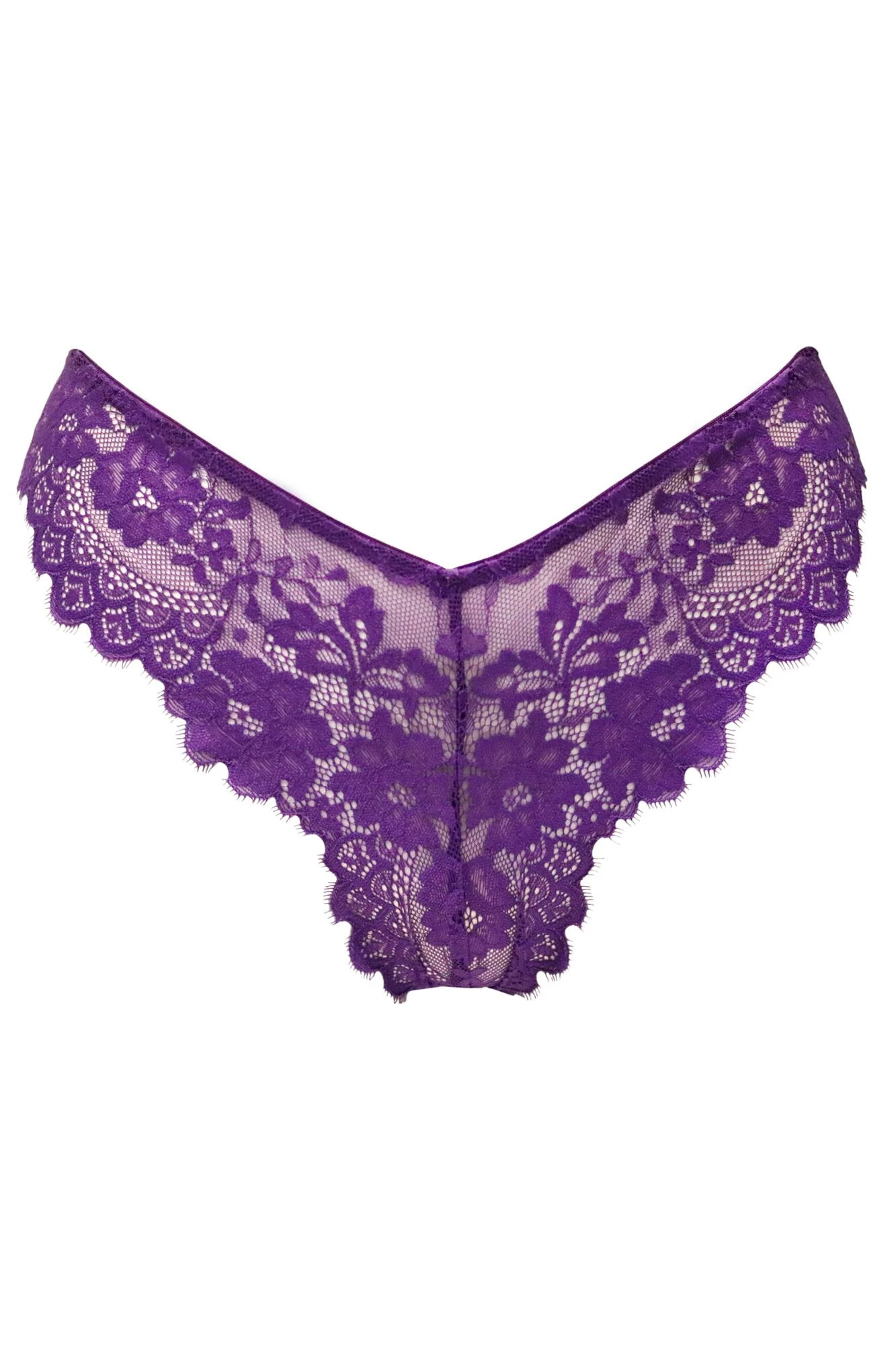 India Eyelash Lace V Brief - Blackberry 4 India Eyelash Lace V Brief - Blackberry - Image 4
