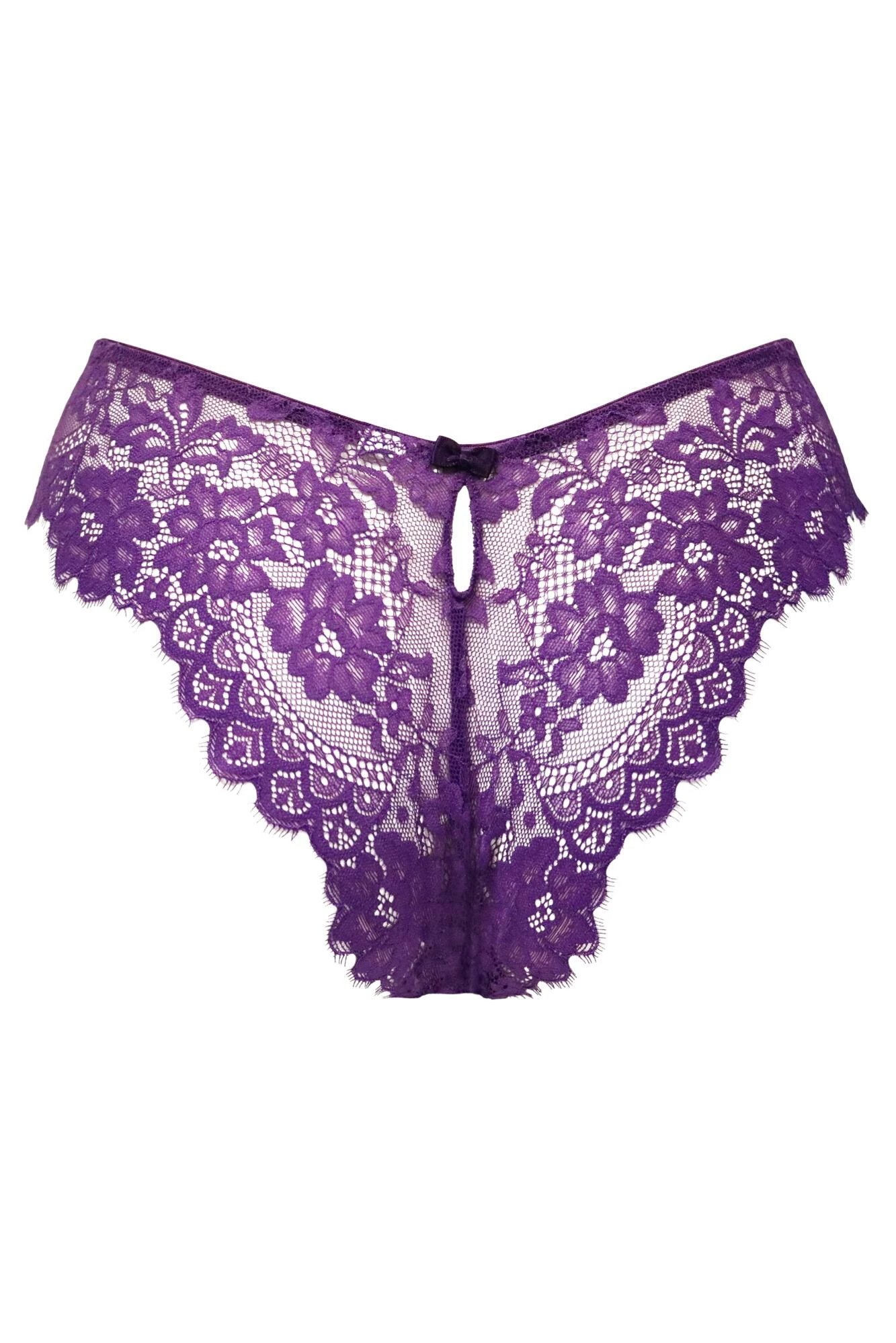 India Eyelash Lace V Brief - Blackberry 5 India Eyelash Lace V Brief - Blackberry - Image 5