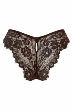 India Eyelash Lace V Brief - Chocolate -POUR MOI Sales 292258 20220928134600