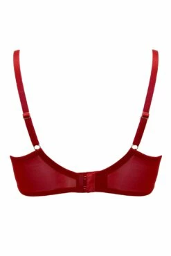 India Eyelash Lace Underwired Bra - Red -POUR MOI Sales 293165 20220824134400