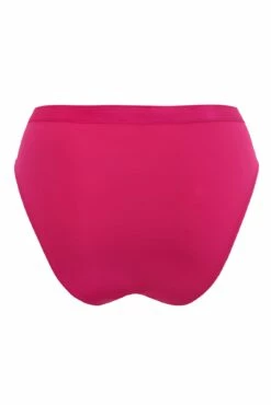 Viva Luxe High Leg Brief - Raspberry -POUR MOI Sales 308534 20230125114700