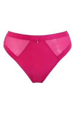 Viva Luxe High Leg Brief - Raspberry -POUR MOI Sales 308535 20230125114700