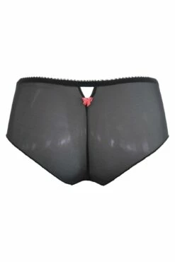 Amour Shorty - Slate/Coral 9 Amour Shorty - Slate/Coral -POUR MOI Sales 310638 20230220161500