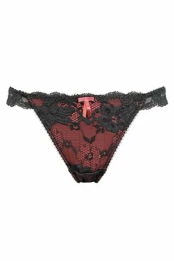 Amour Brazilian Brief - Slate/Coral -POUR MOI Sales 310759 20230220162700