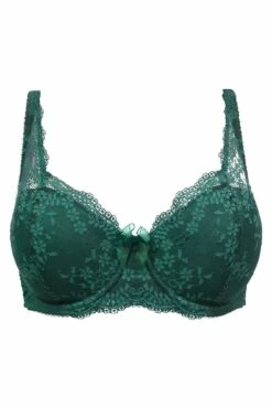 Flora Lightly Padded Underwired Bra - Forest -POUR MOI Sales 319514 20230727125800