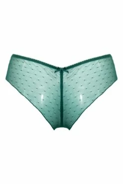 Flora Brazilian Brief - Forest -POUR MOI Sales 319717 20230904094500